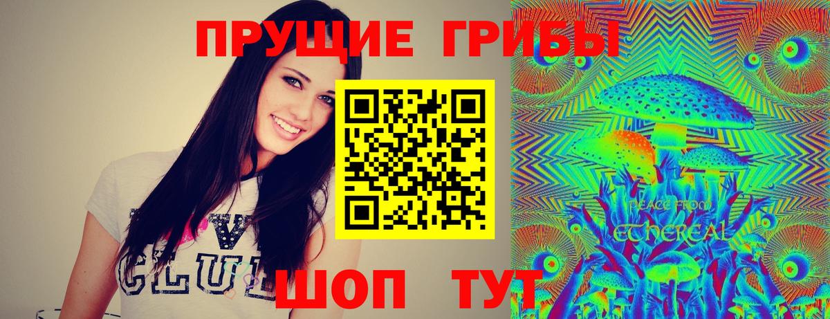 Прокопьевск  Псилоцибиновые грибы мицелий  Вход с VPN  Галлюциногенные грибы GOLDEN TEACHER 