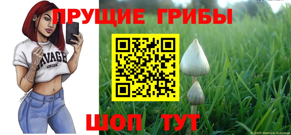 Псилоцибиновые грибы Cubensis Прокопьевск